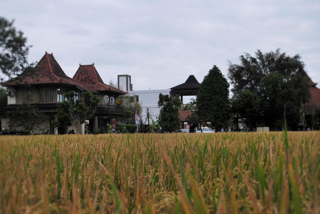 Java Village Resort Sleman  Exteriör bild