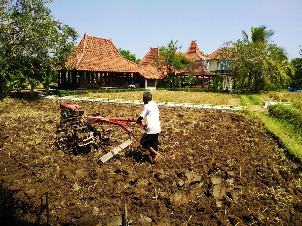 Java Village Resort Sleman  Exteriör bild