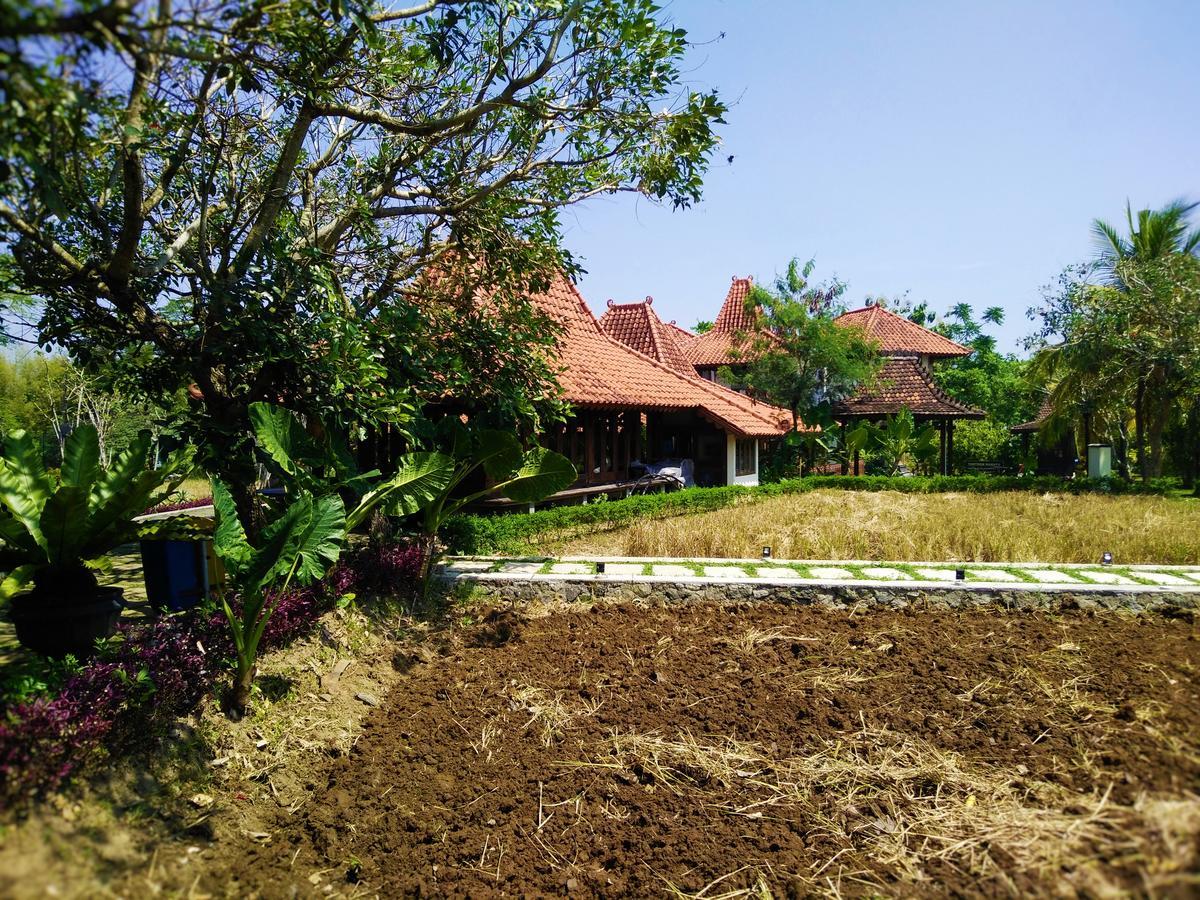 Java Village Resort Sleman  Exteriör bild